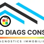 Immo Diags Conseils